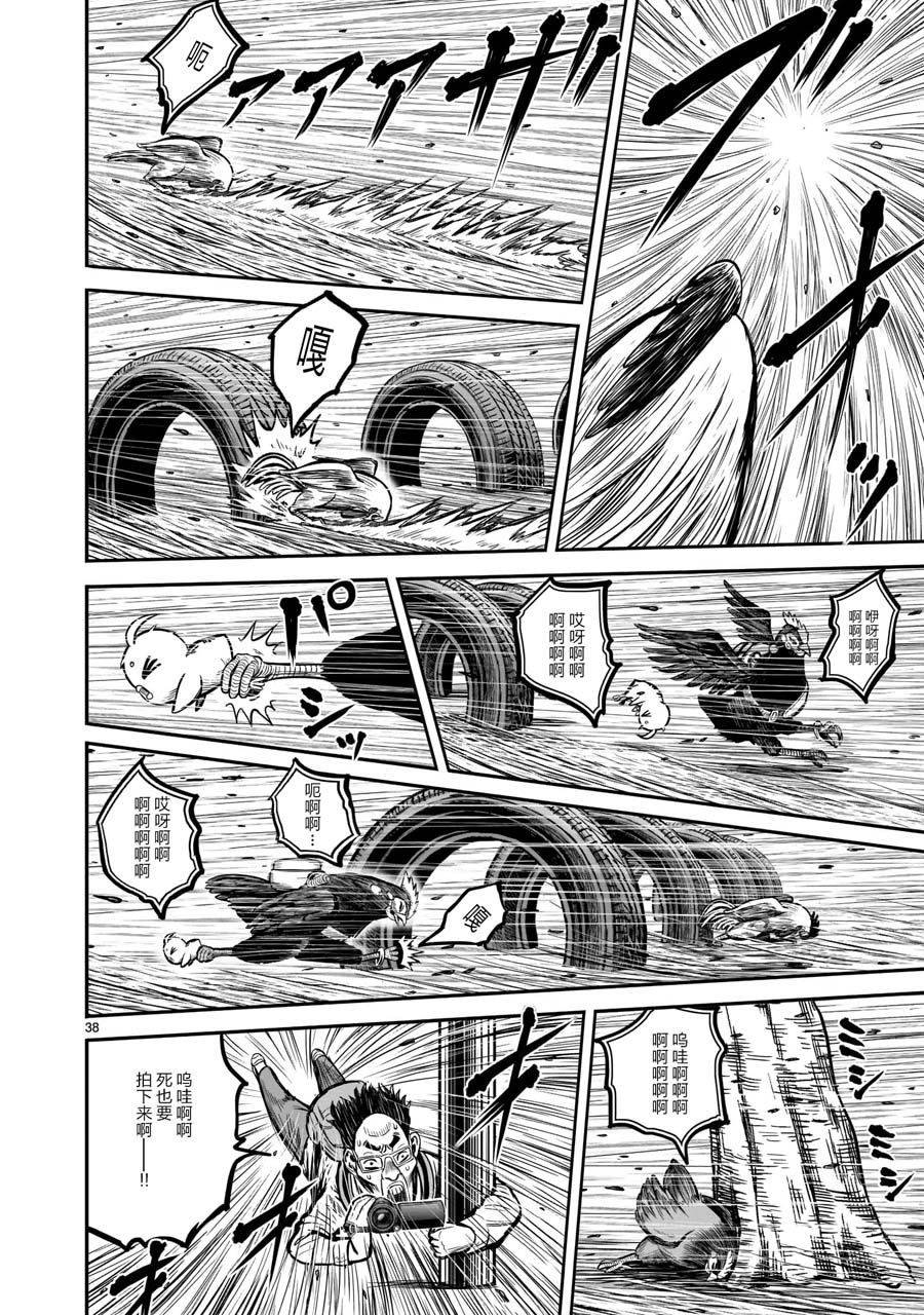 第38页