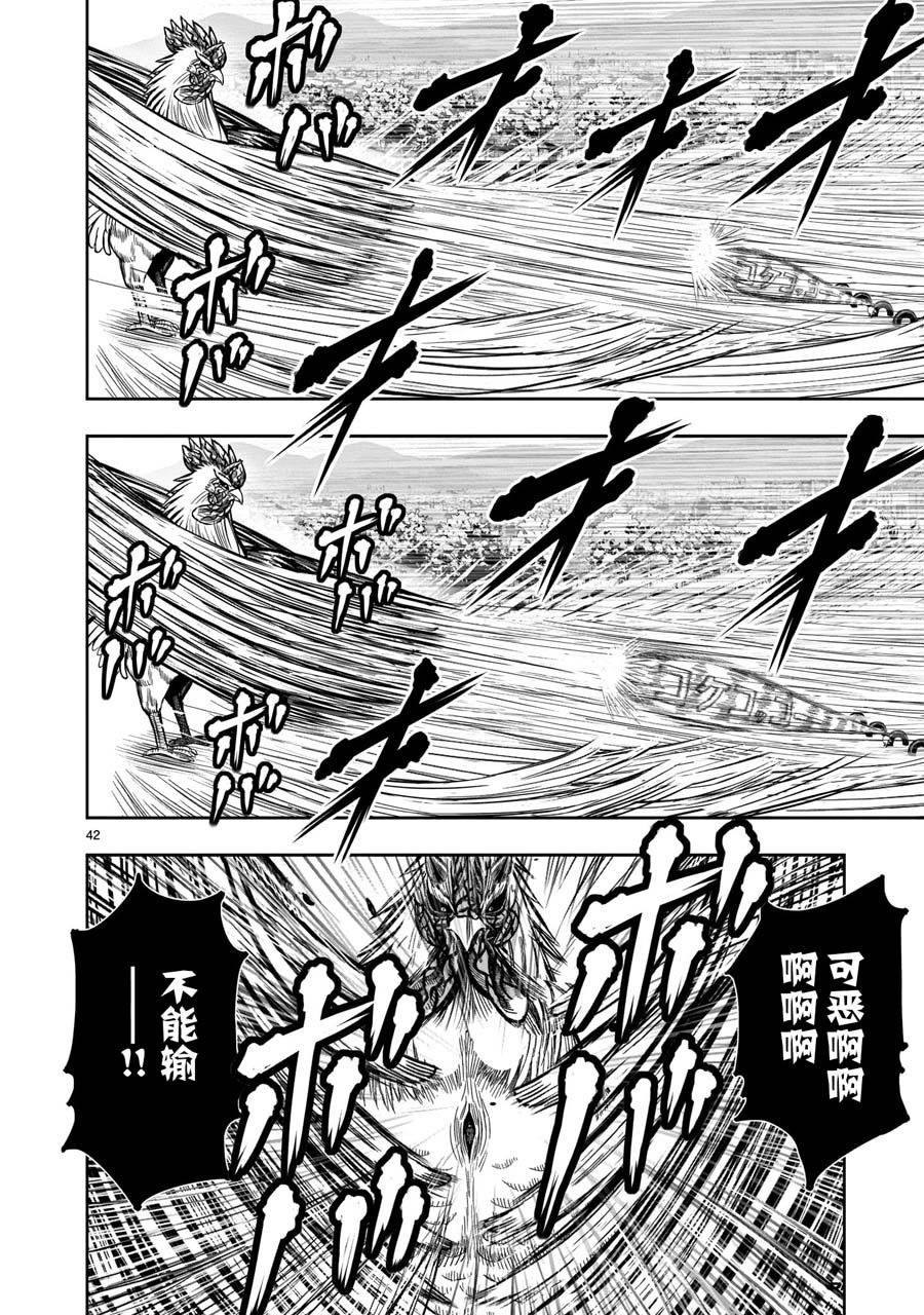 第42页