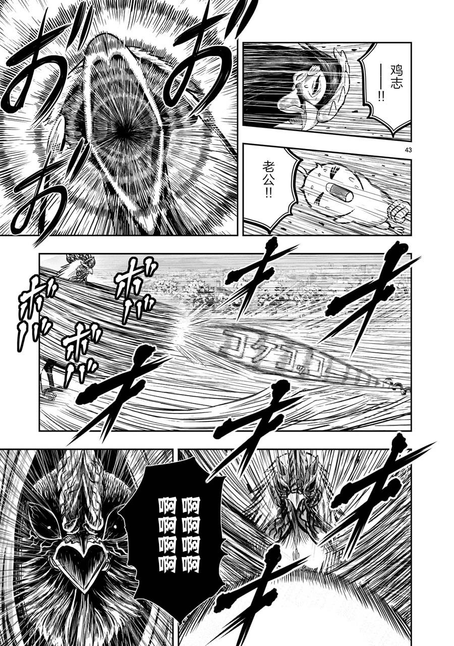 第43页