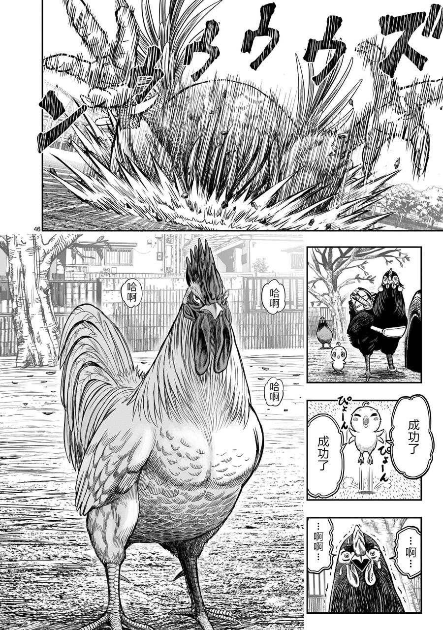 第46页