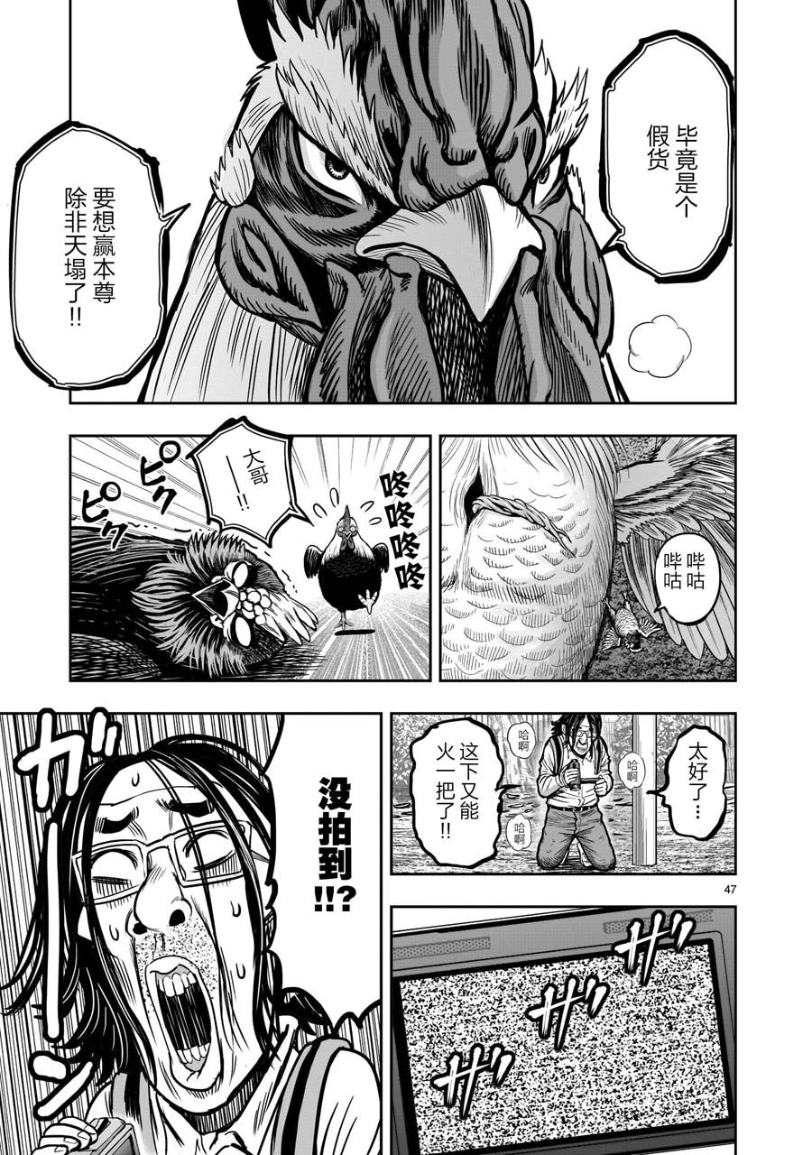第47页