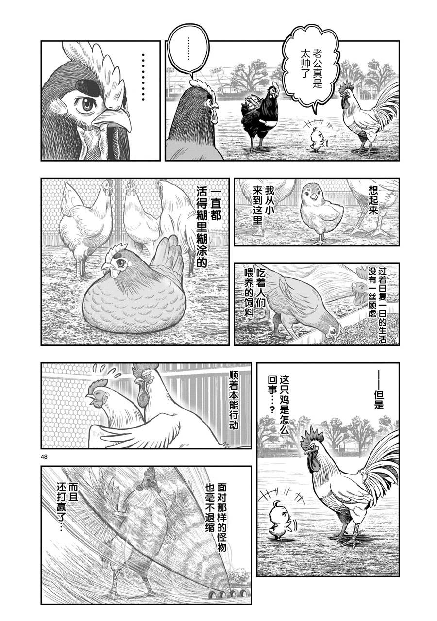 第48页