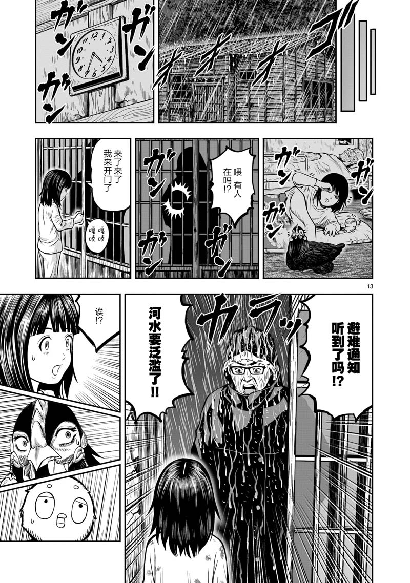 第13页