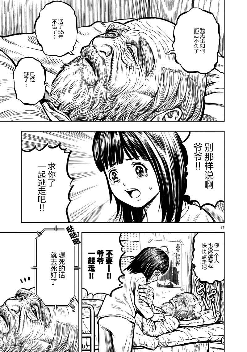 第17页