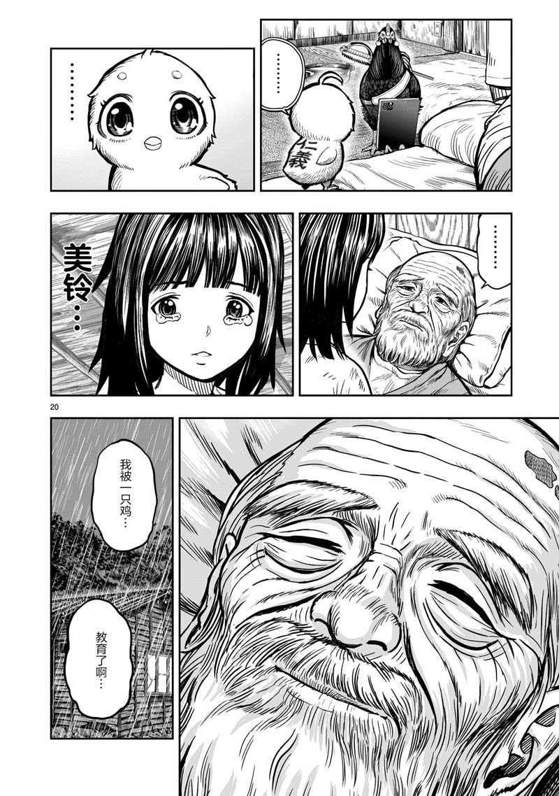 第20页