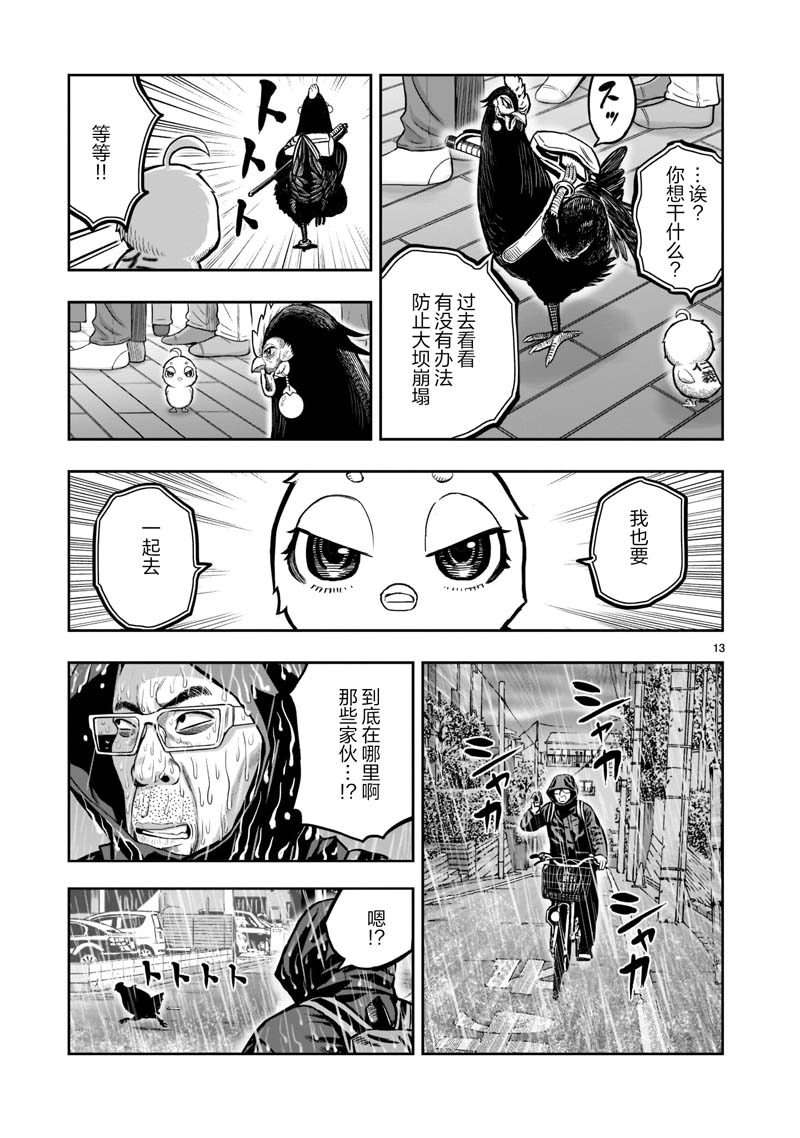 第13页