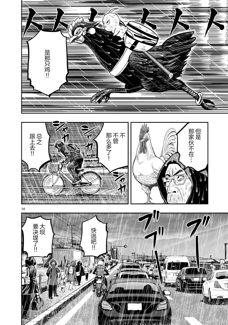 第14页