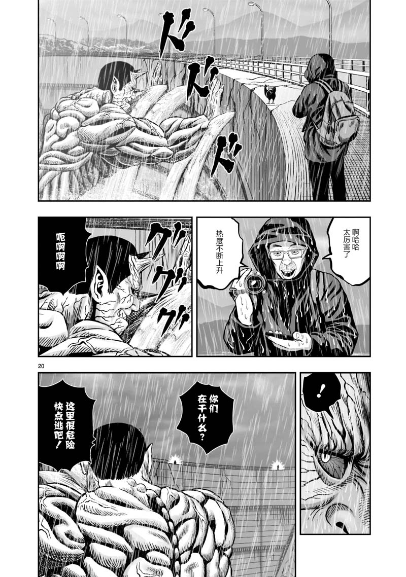 第20页