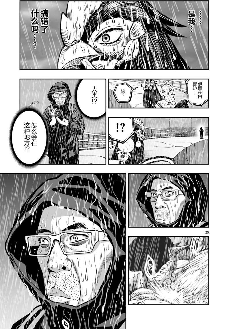 第25页