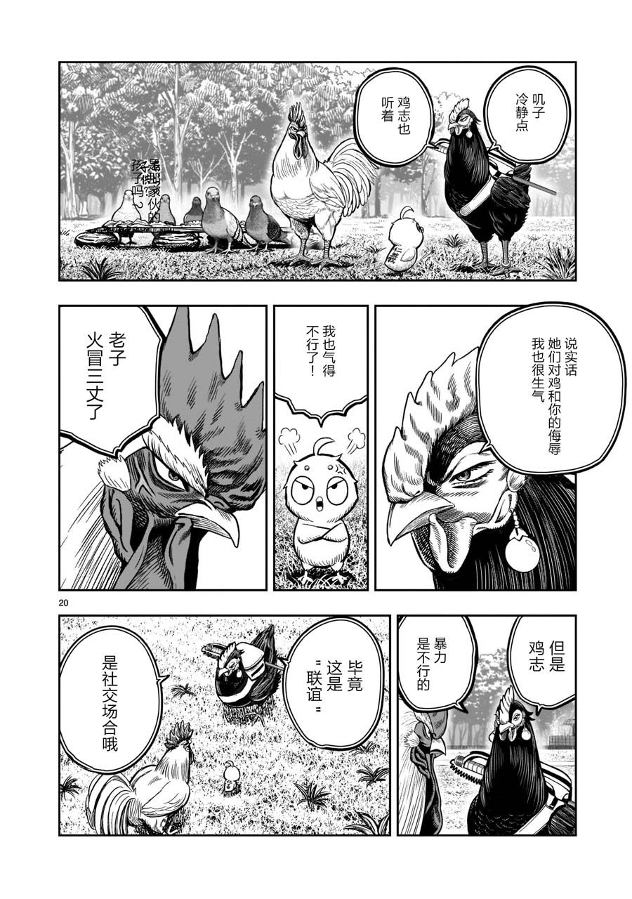 第20页