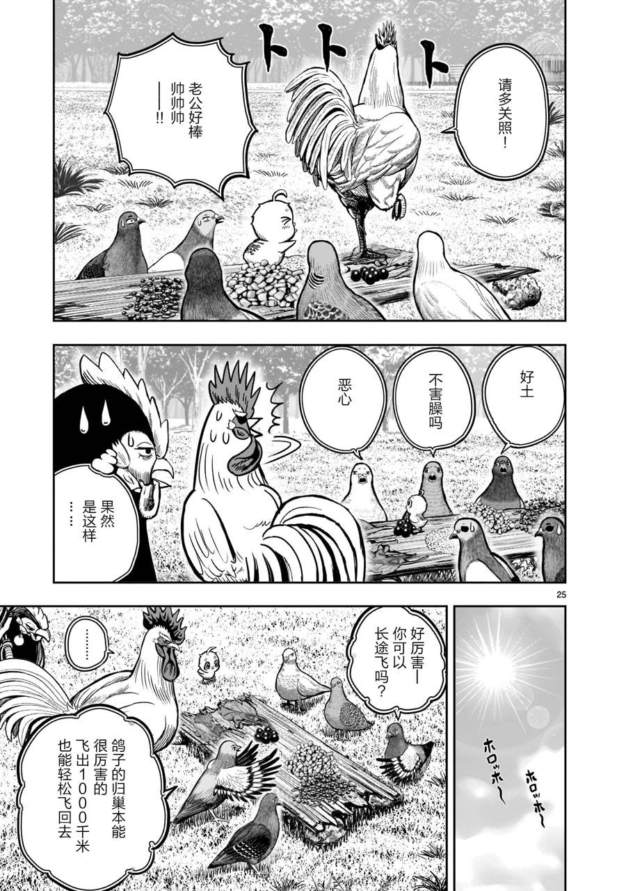 第25页