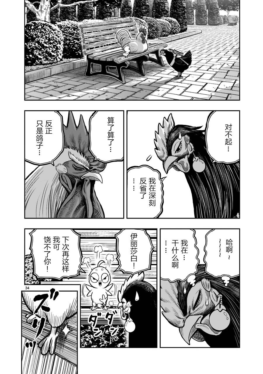 第34页