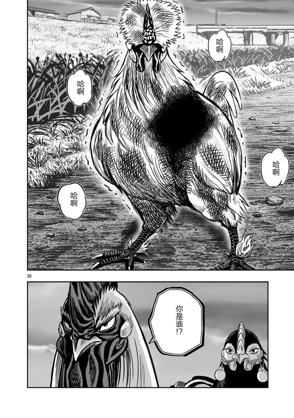 第32页