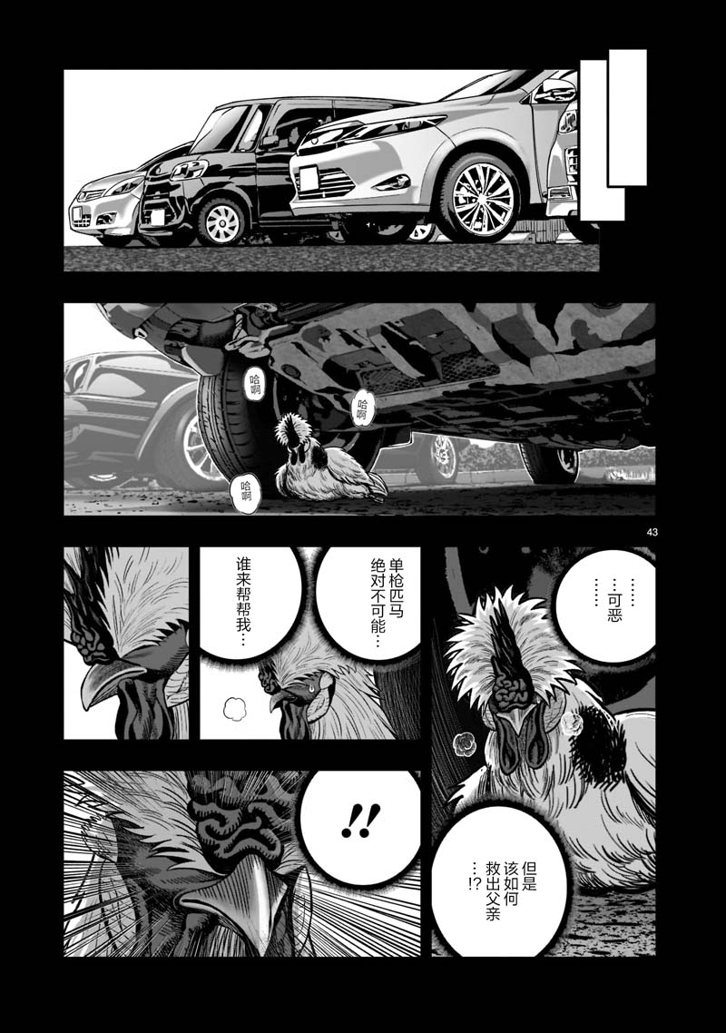 第43页