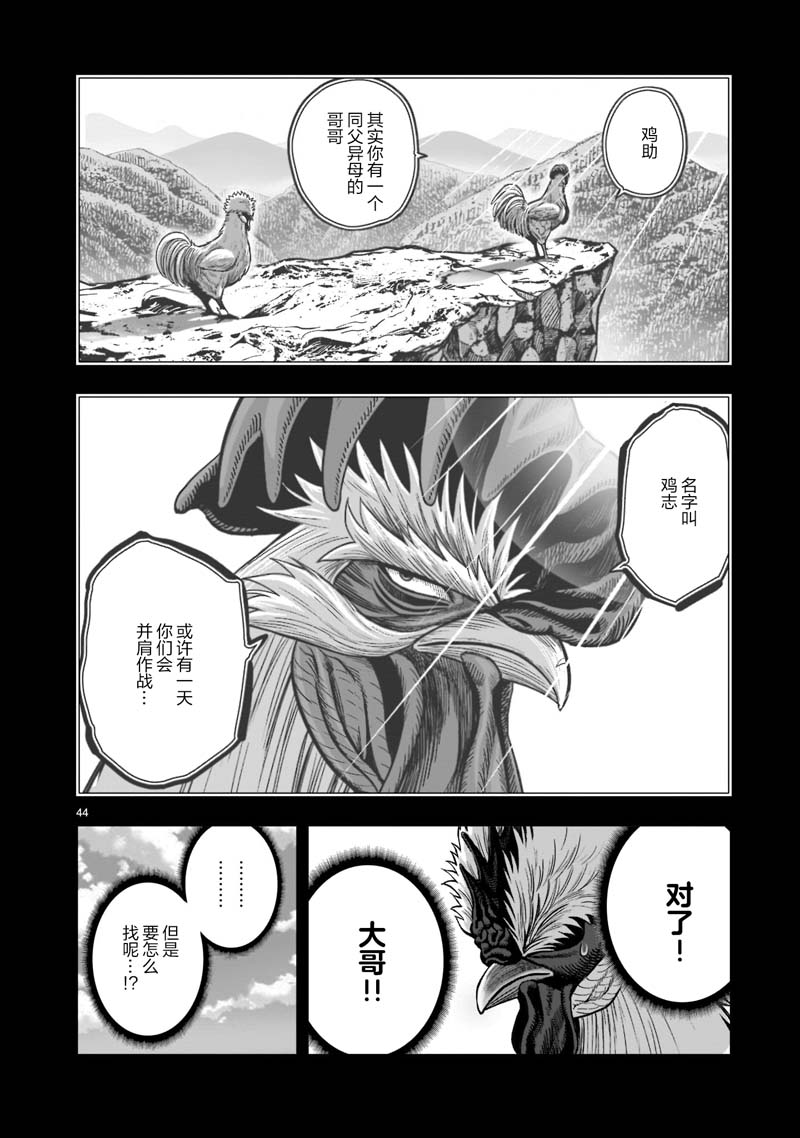 第44页
