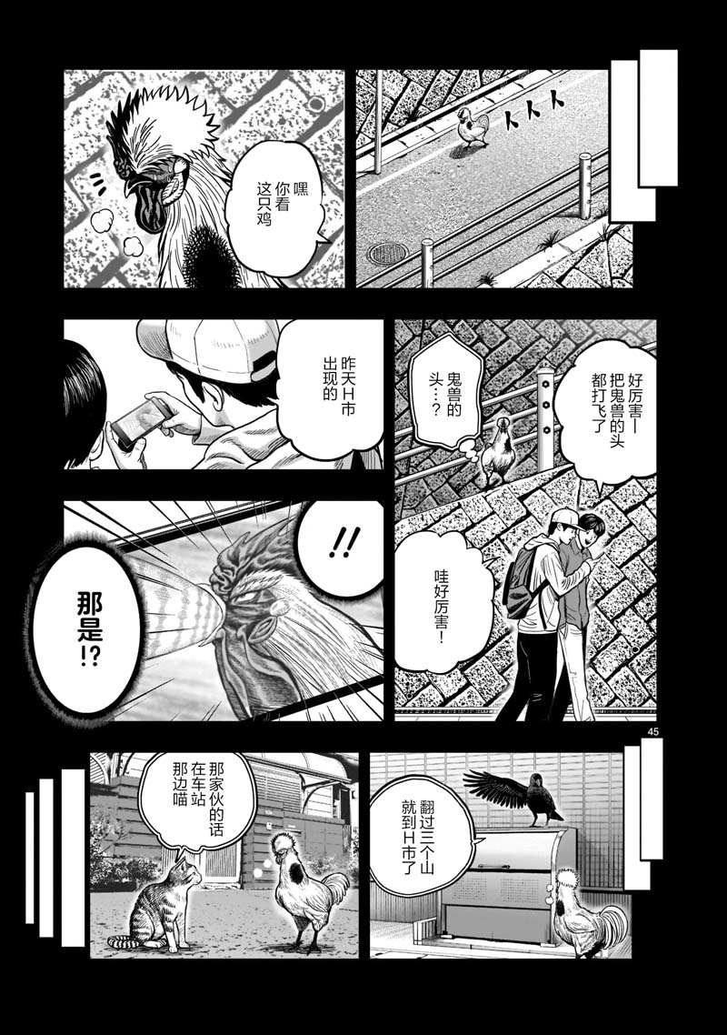 第45页