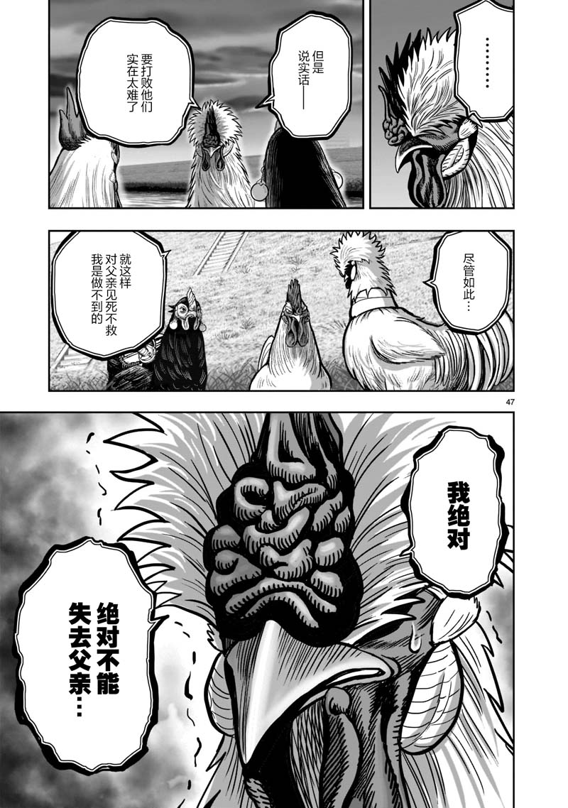 第47页