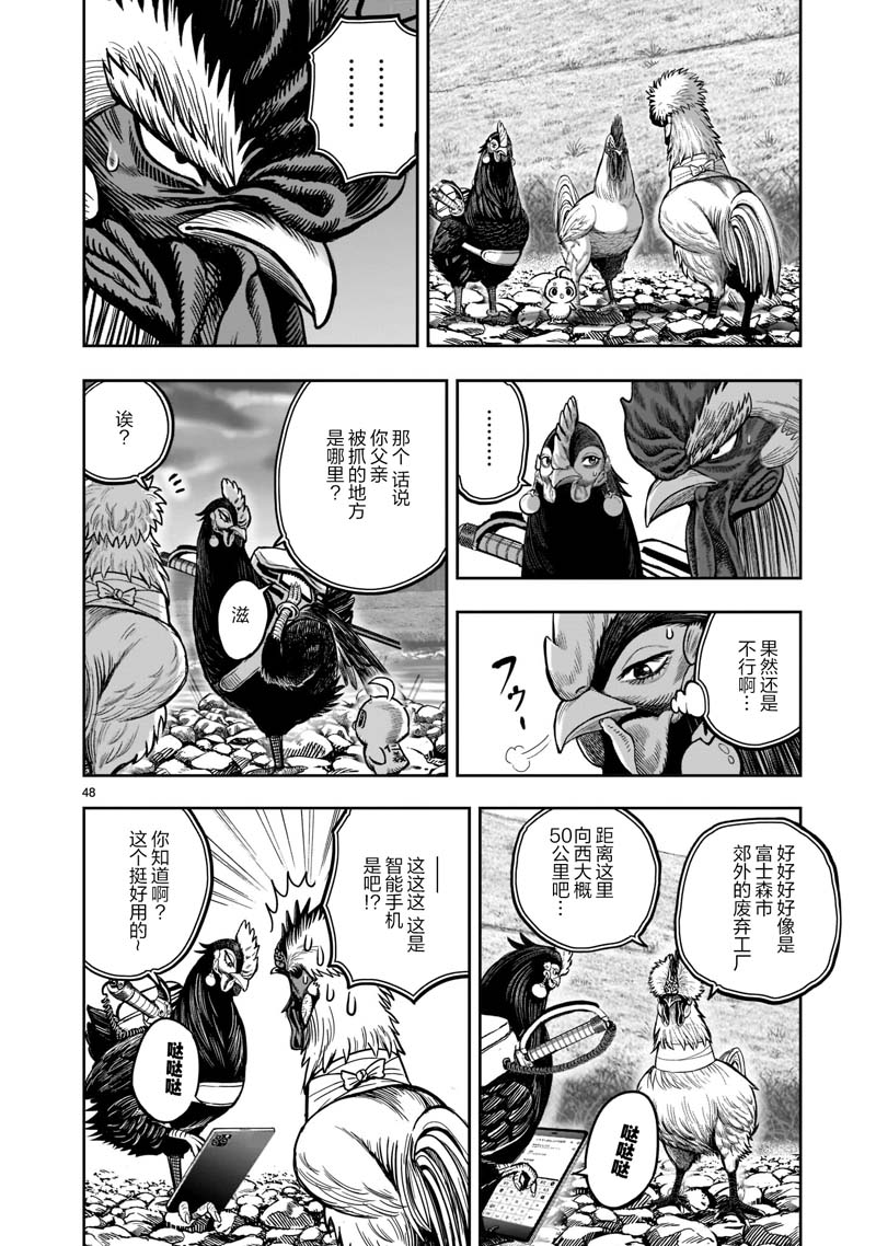 第48页