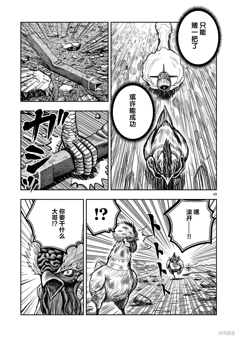第42页