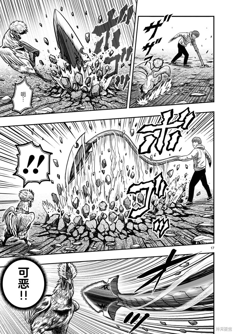 第17页