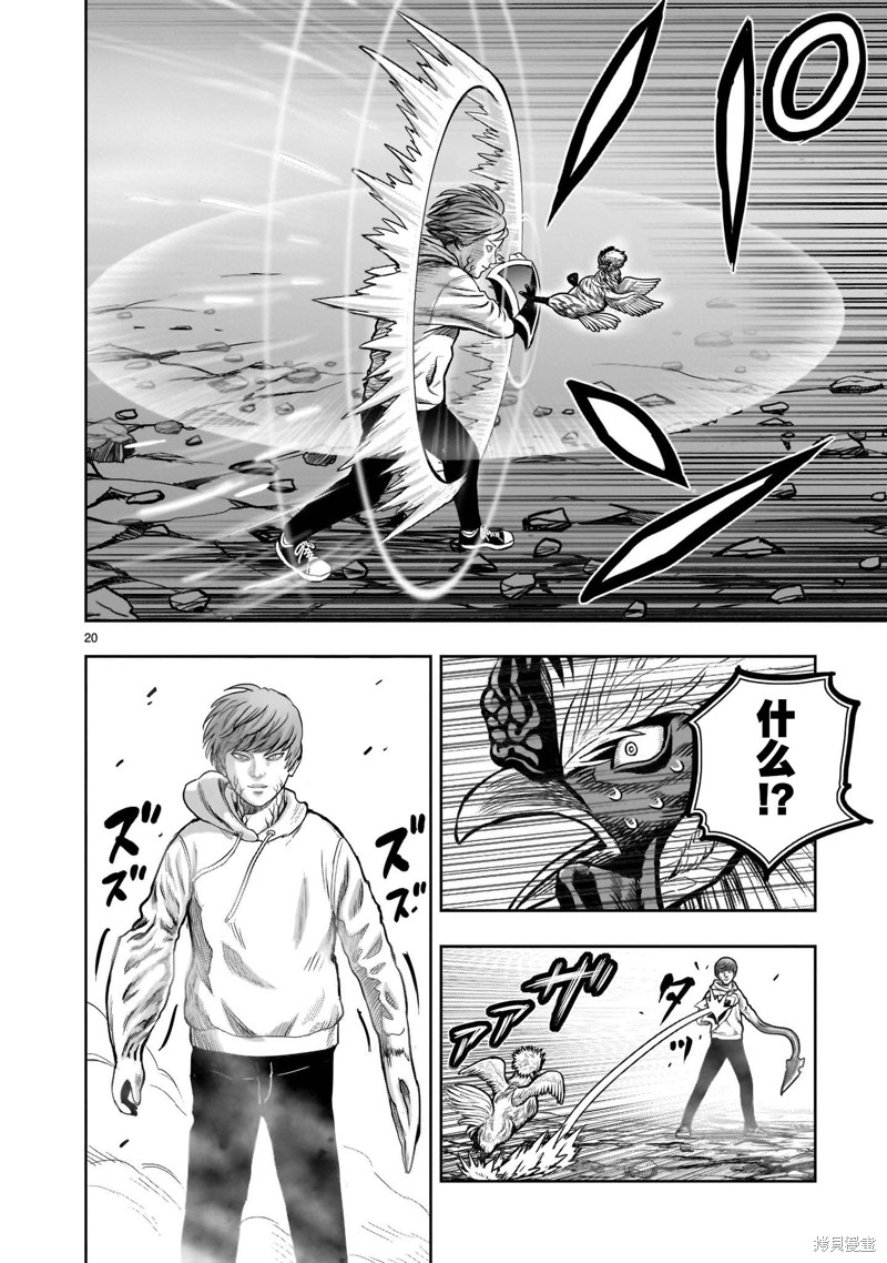 第20页