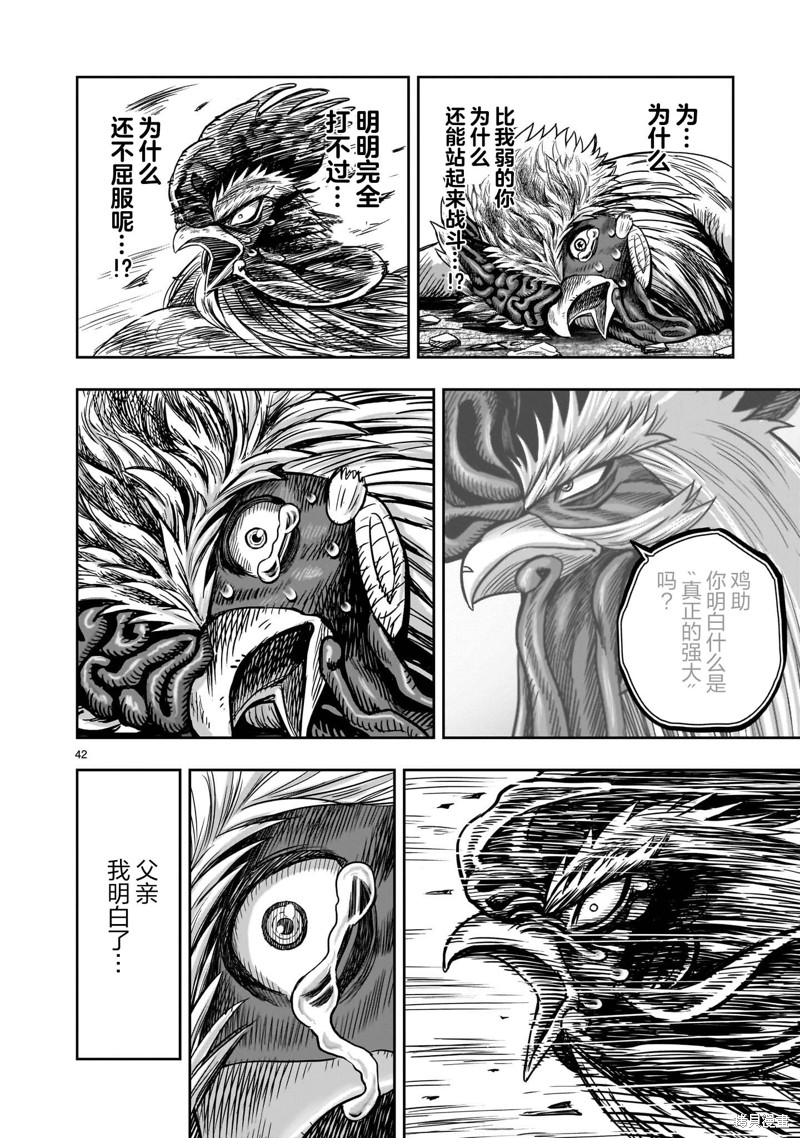 第42页