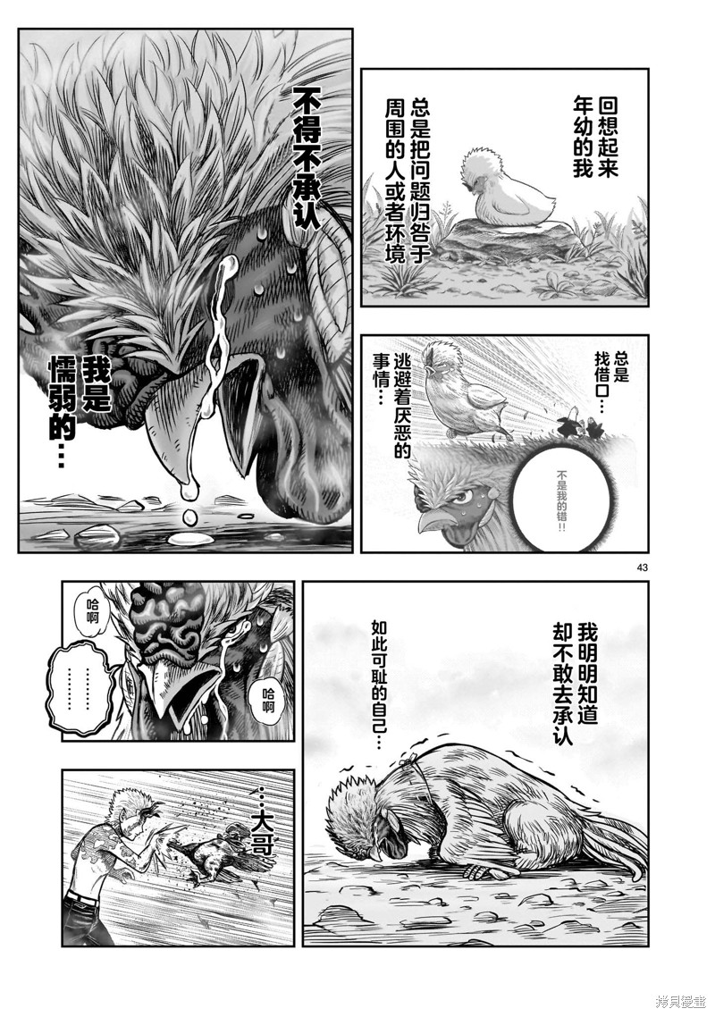 第43页