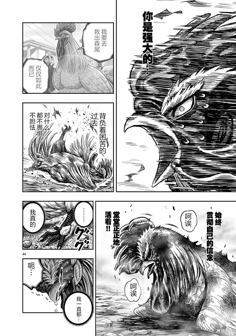 第44页
