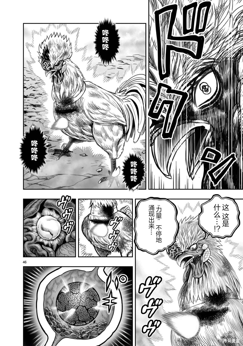 第46页