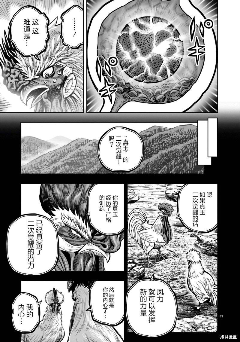 第47页