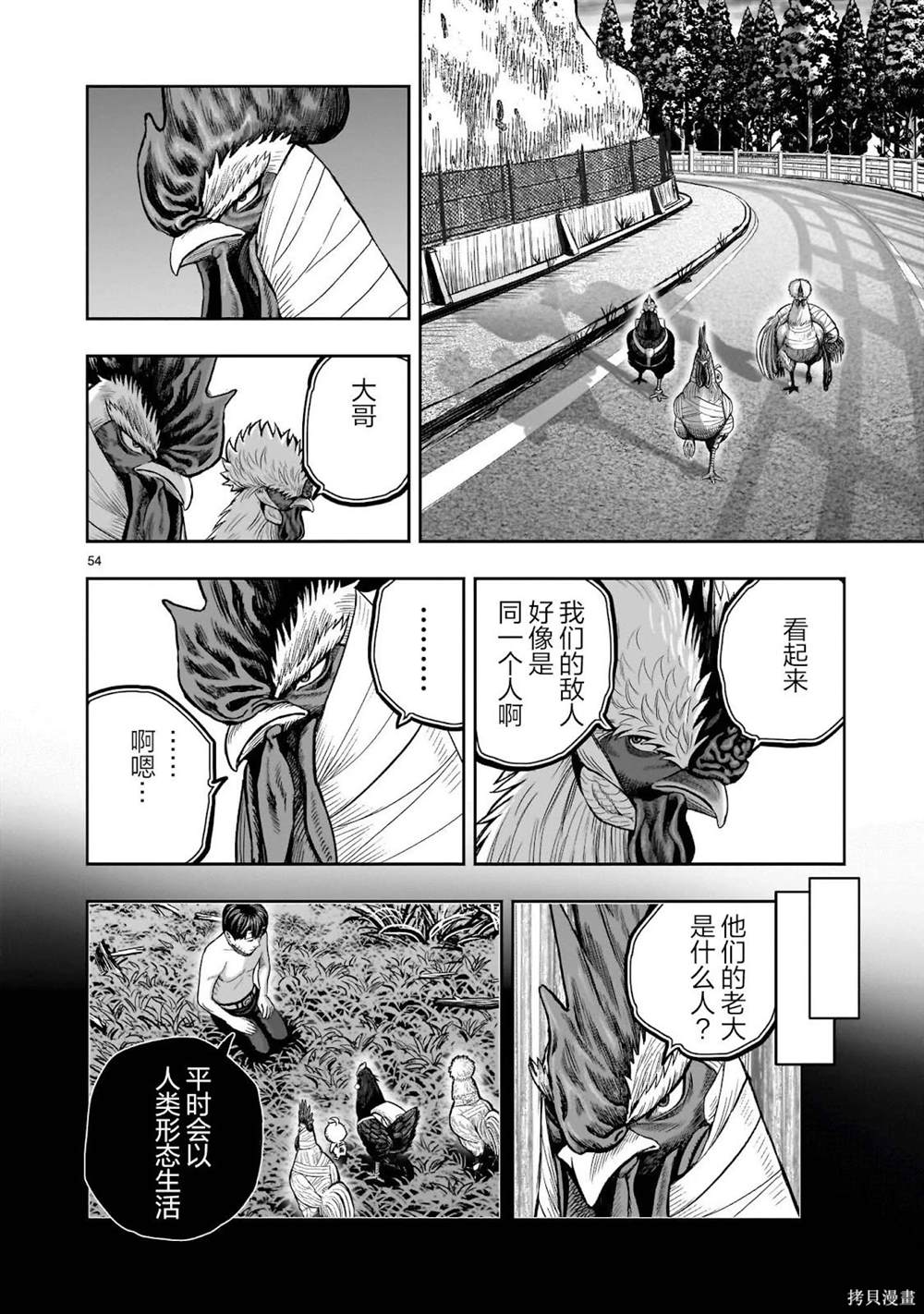 第55页