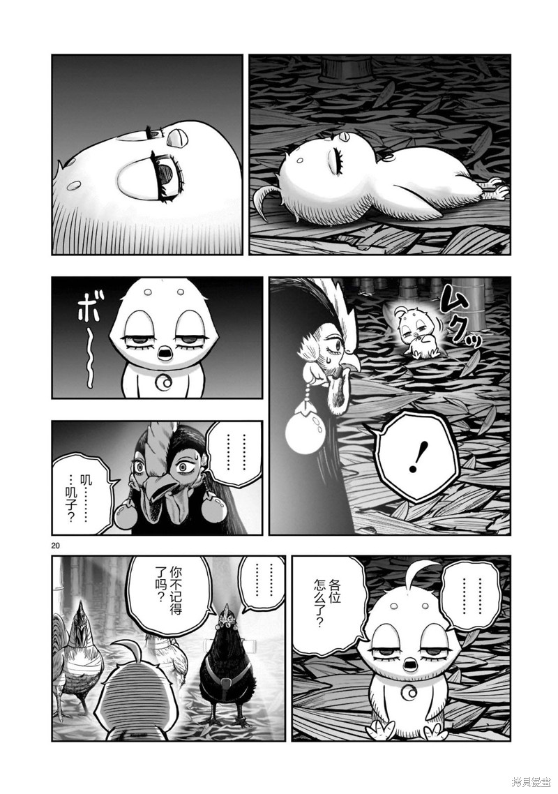 第20页