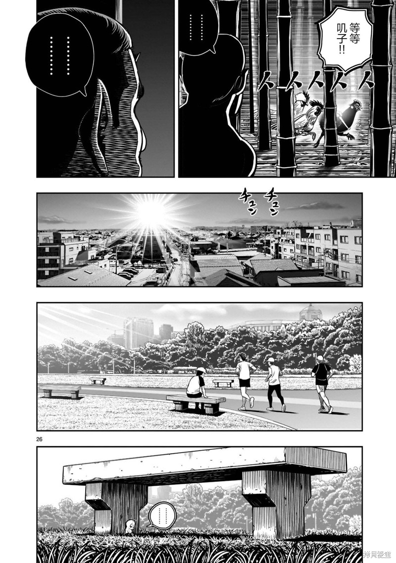 第26页