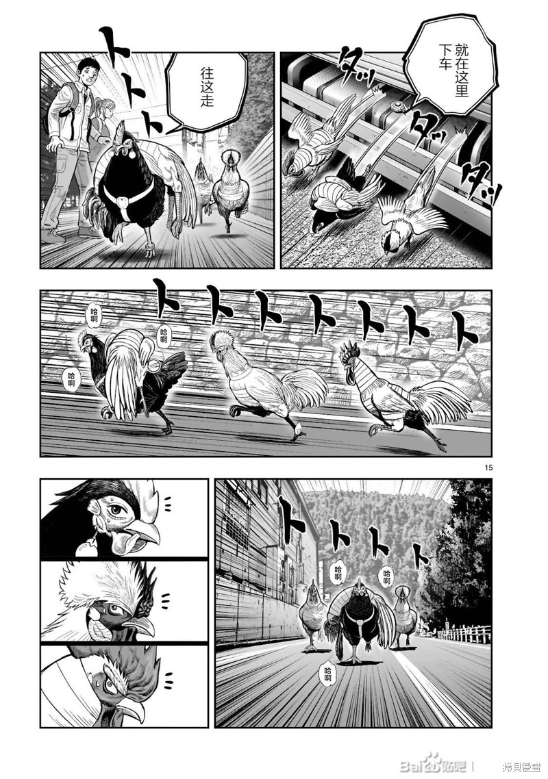 第17页