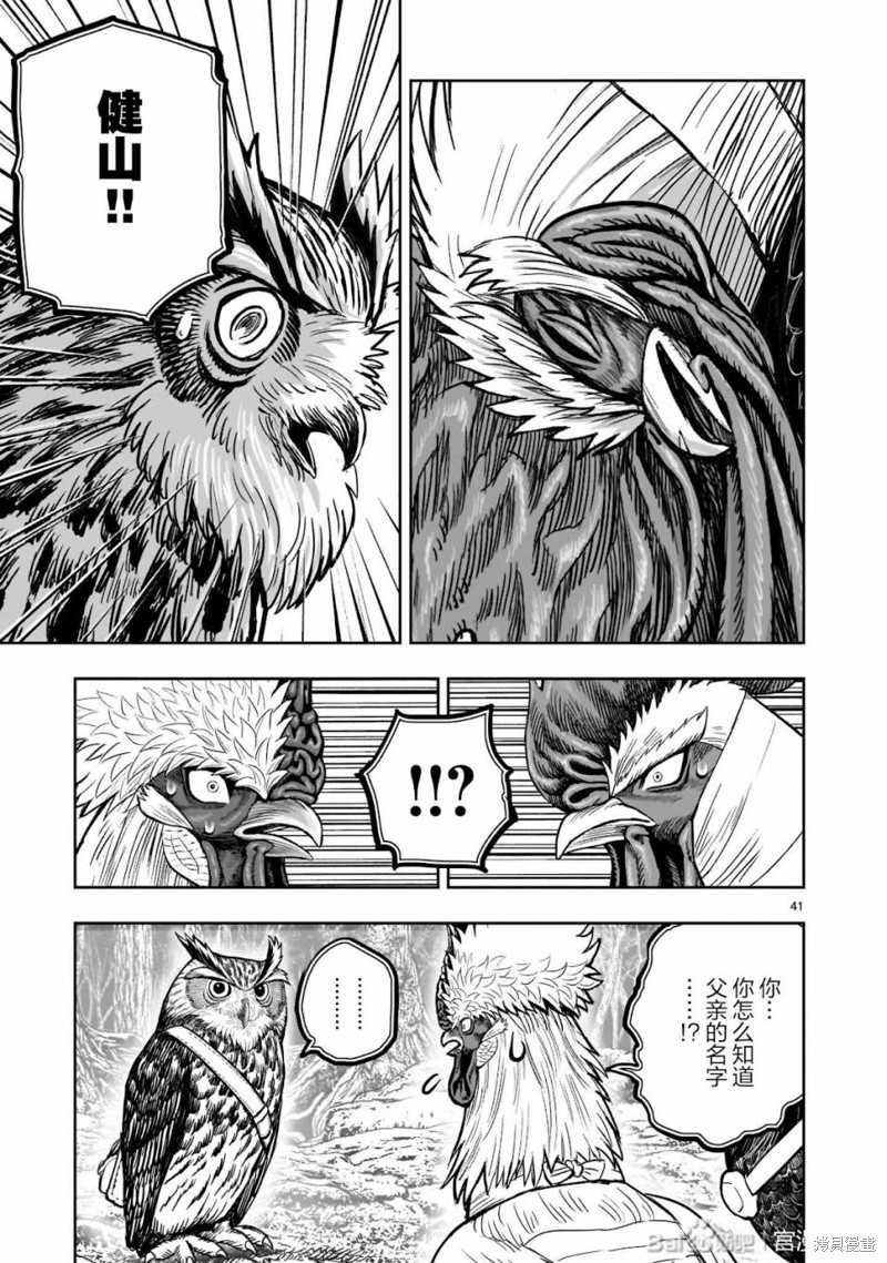 第42页
