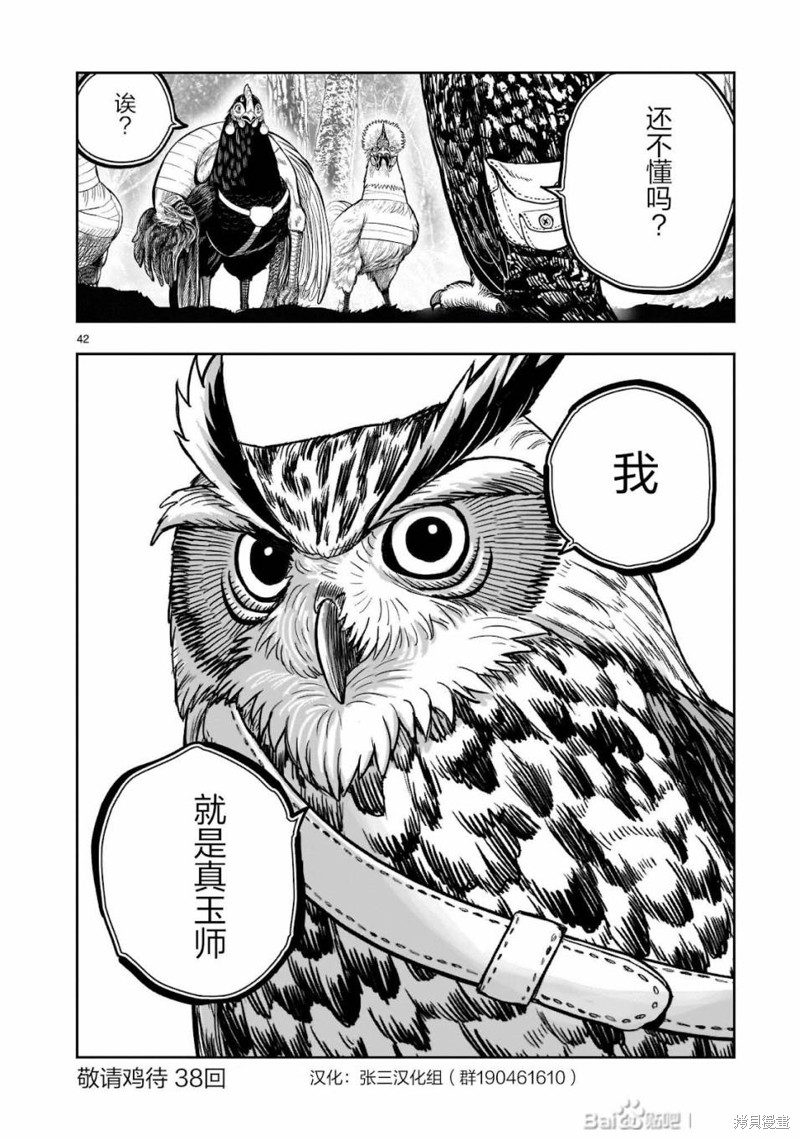 第43页