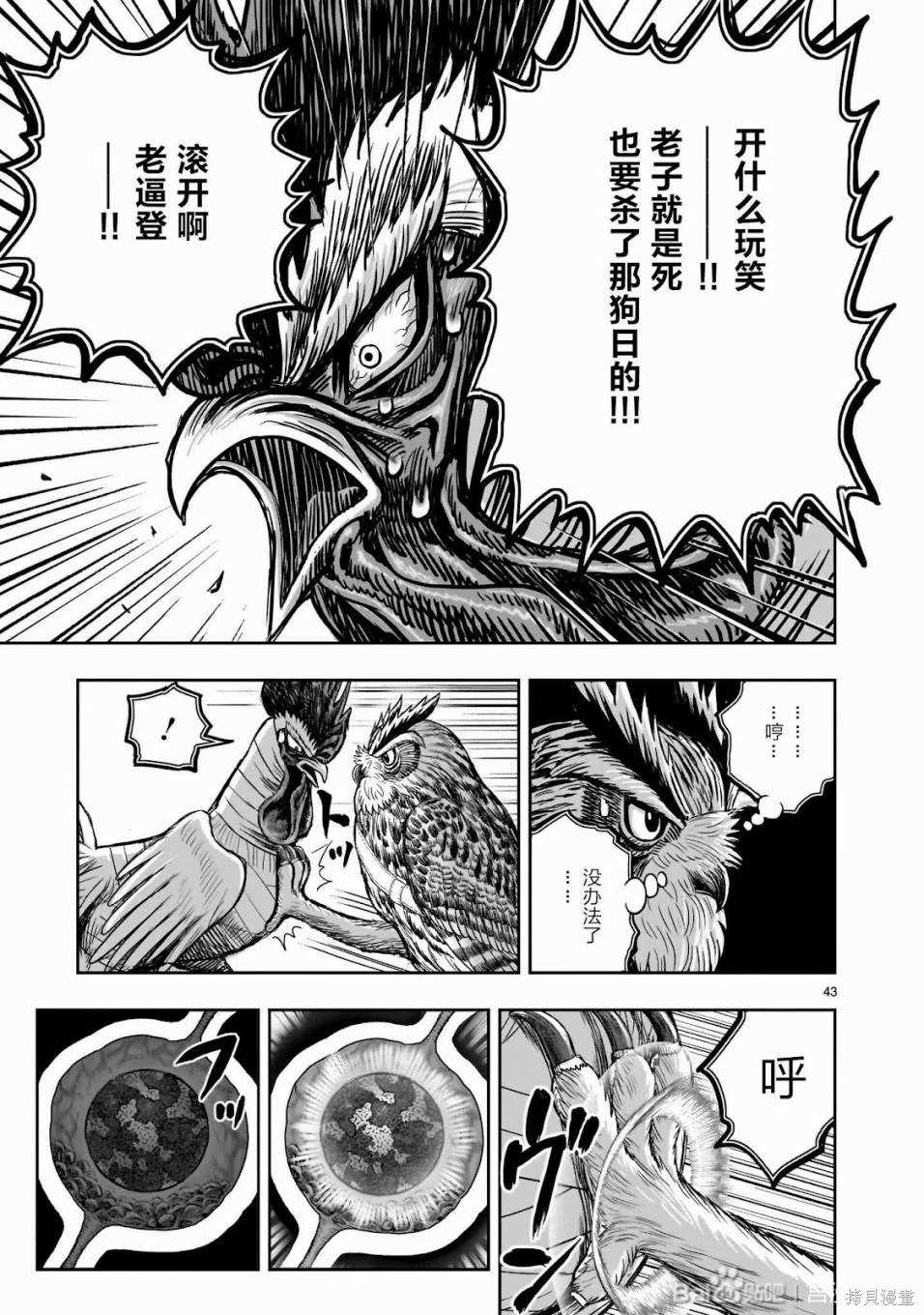 第44页