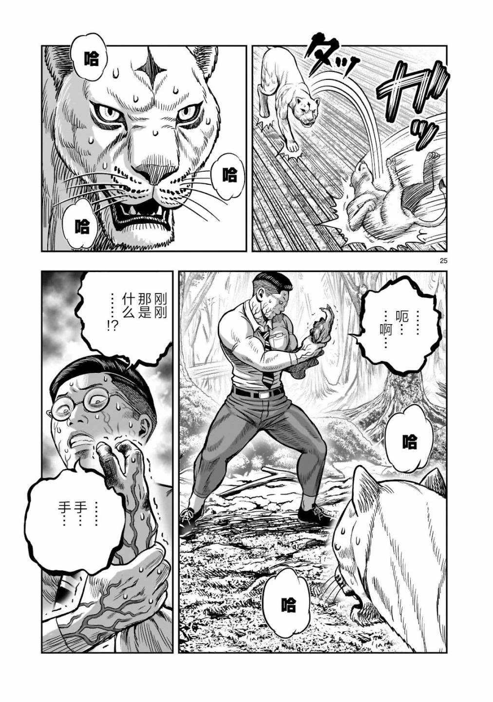 第25页