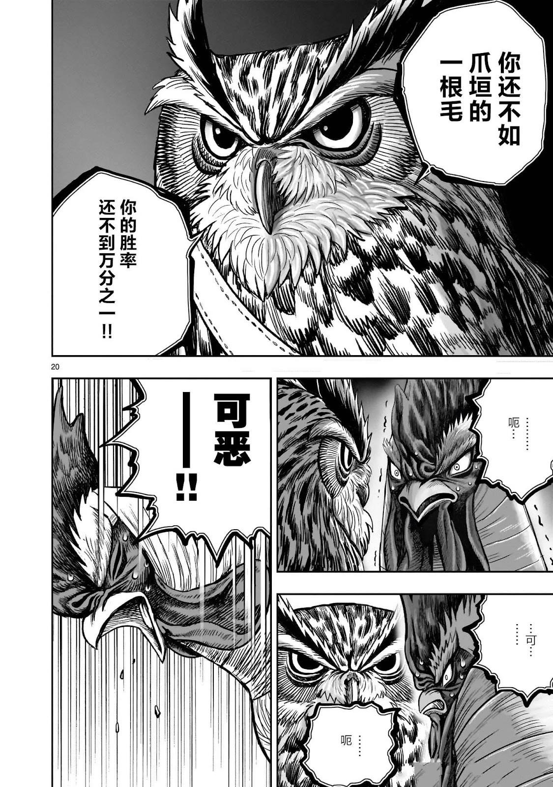 第20页