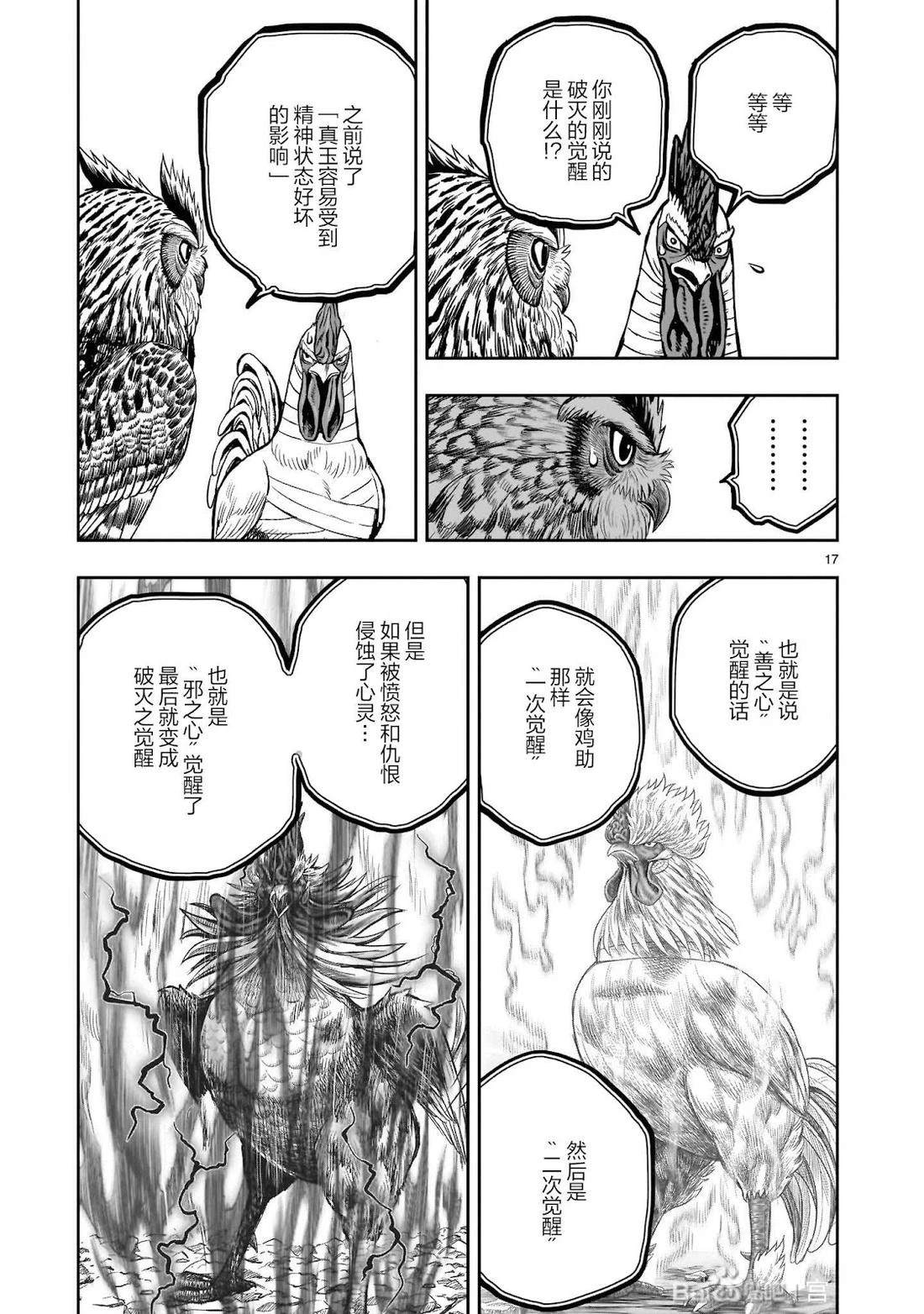 第17页