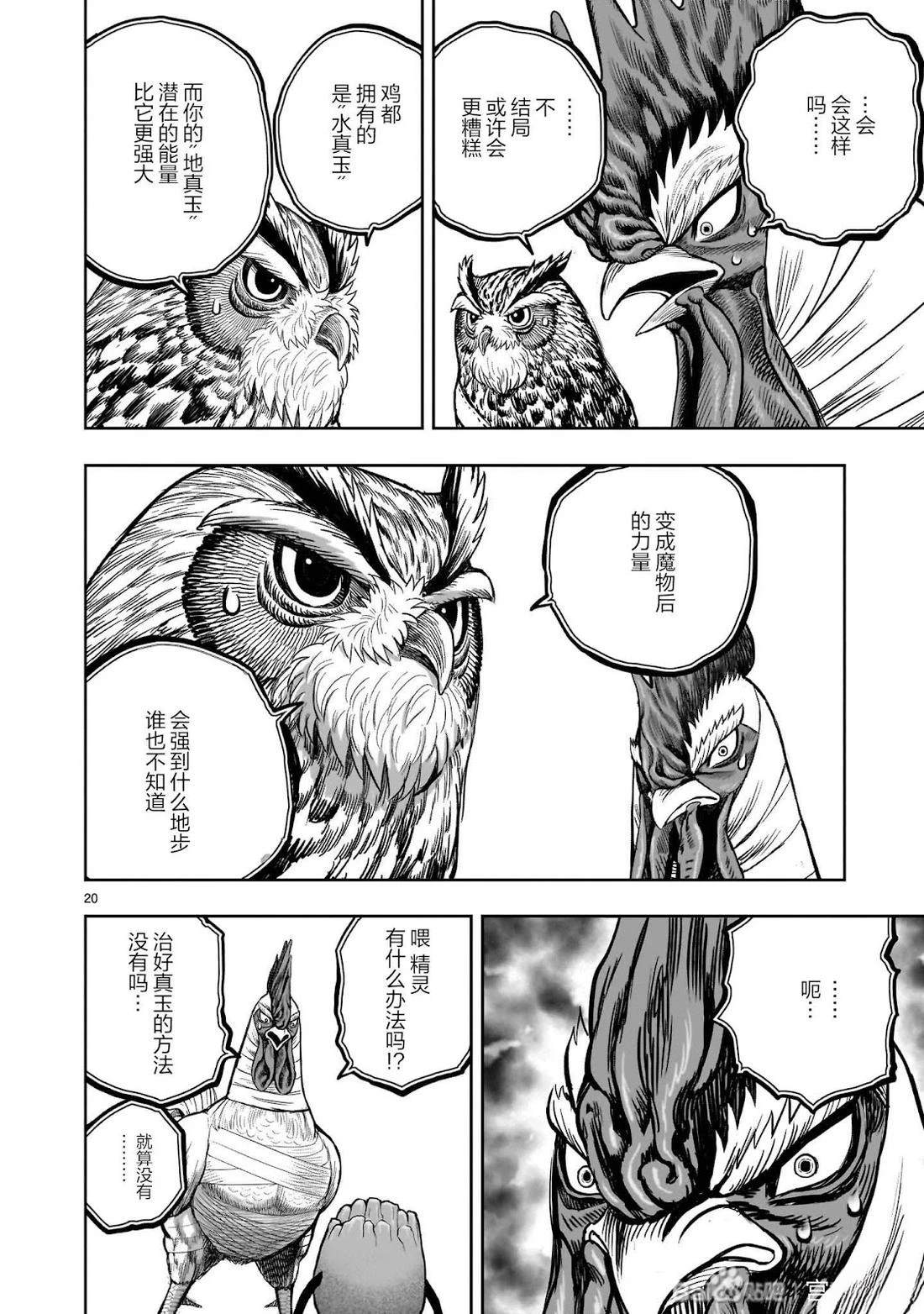 第20页