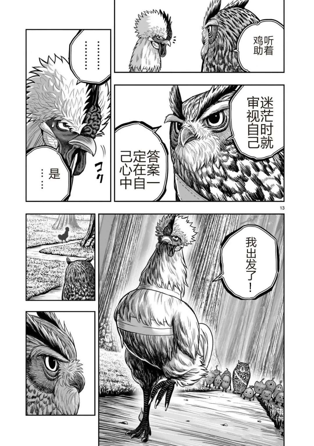 第13页
