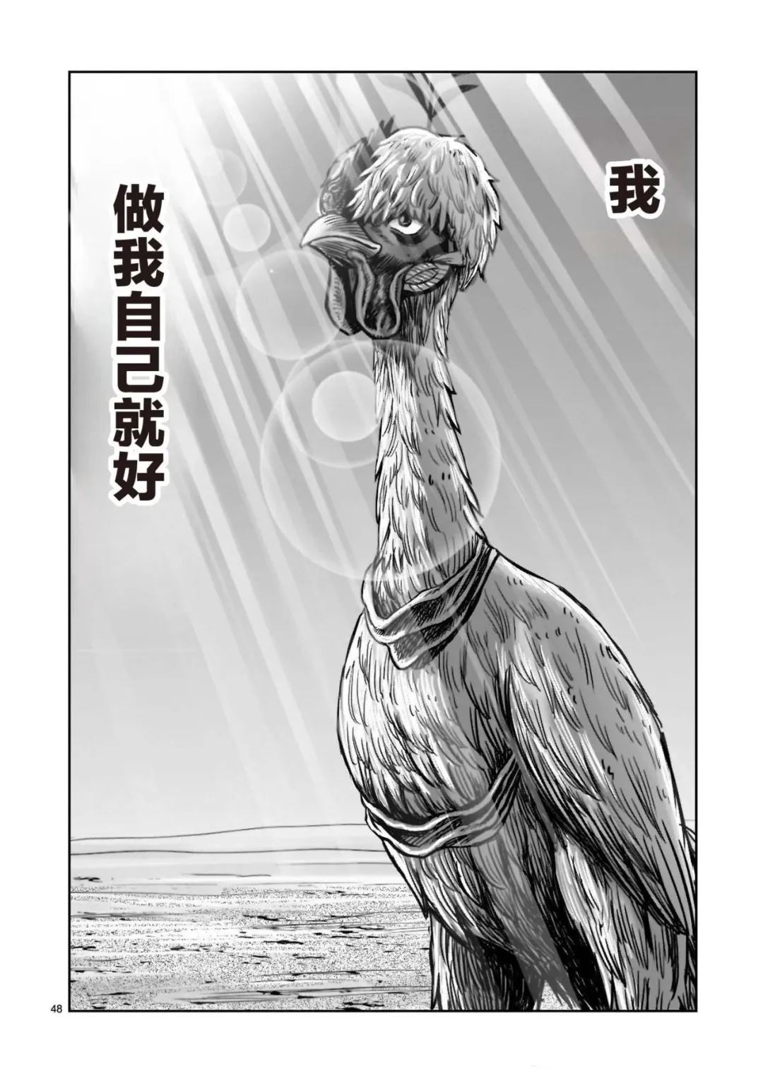 第48页