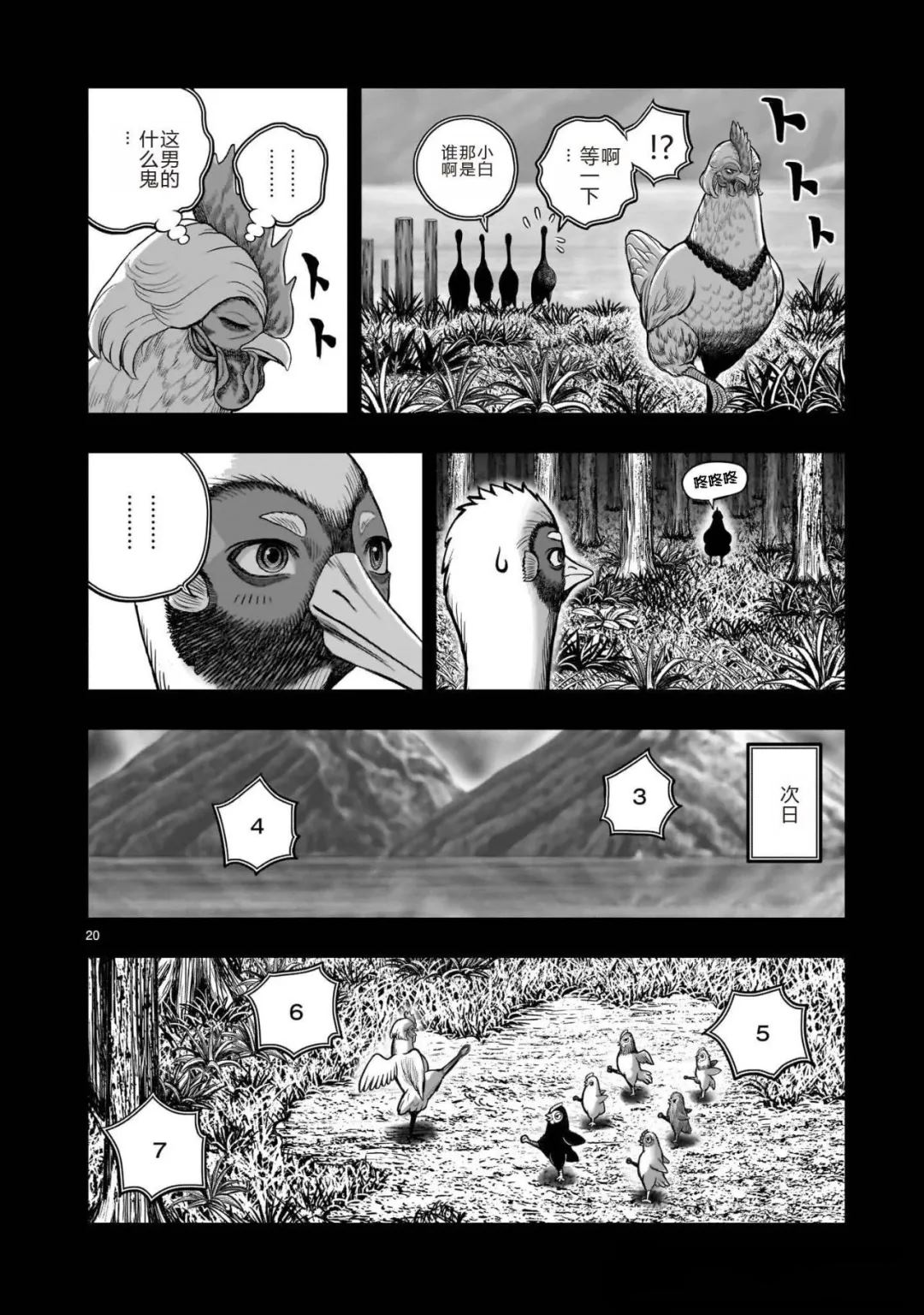 第20页