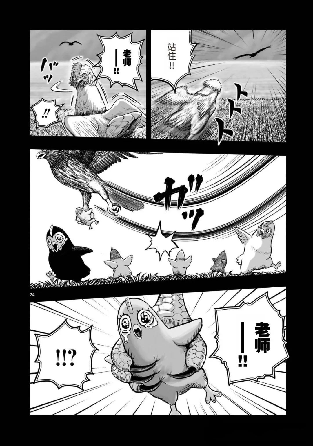 第24页