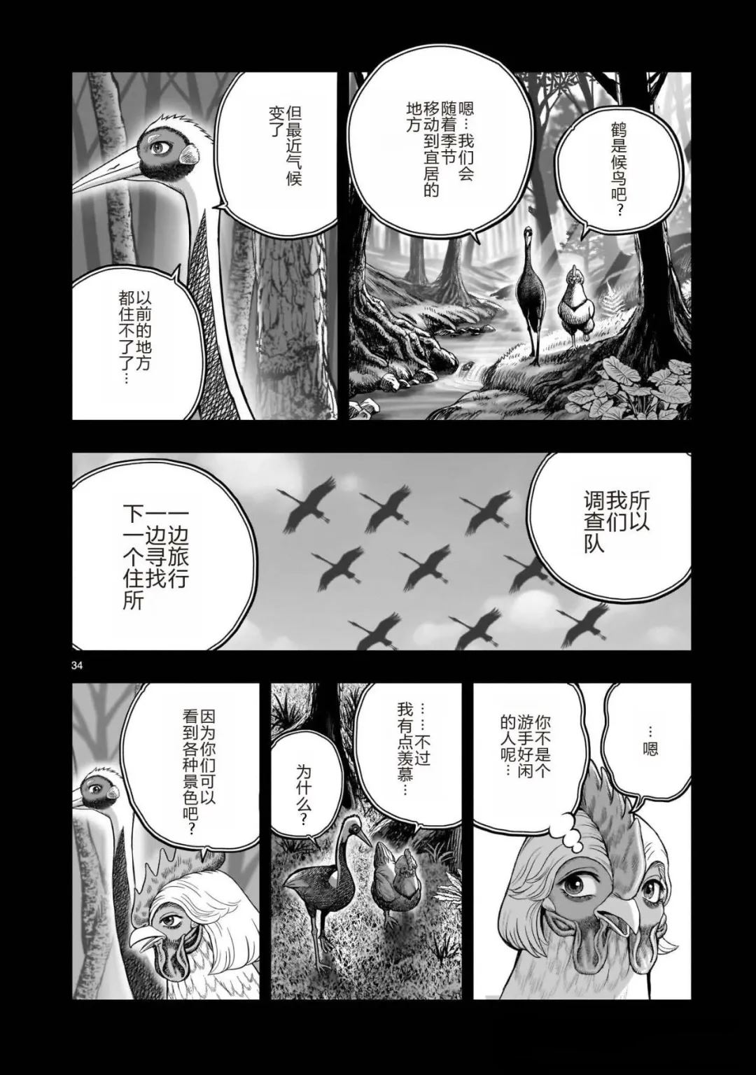 第34页