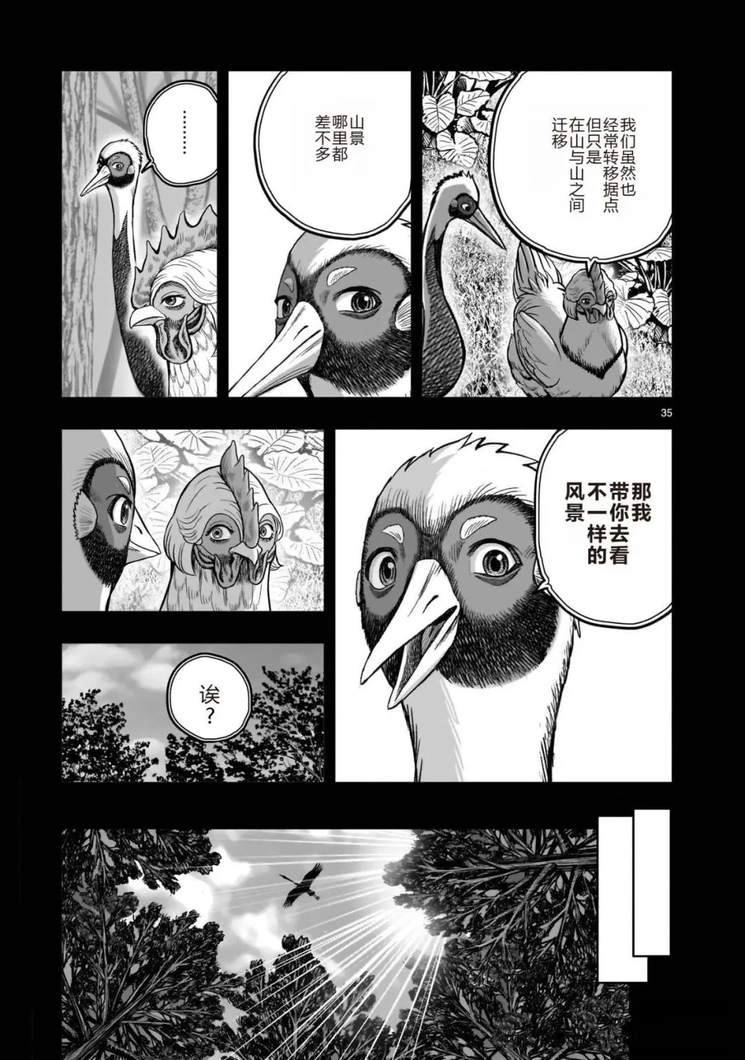 第35页