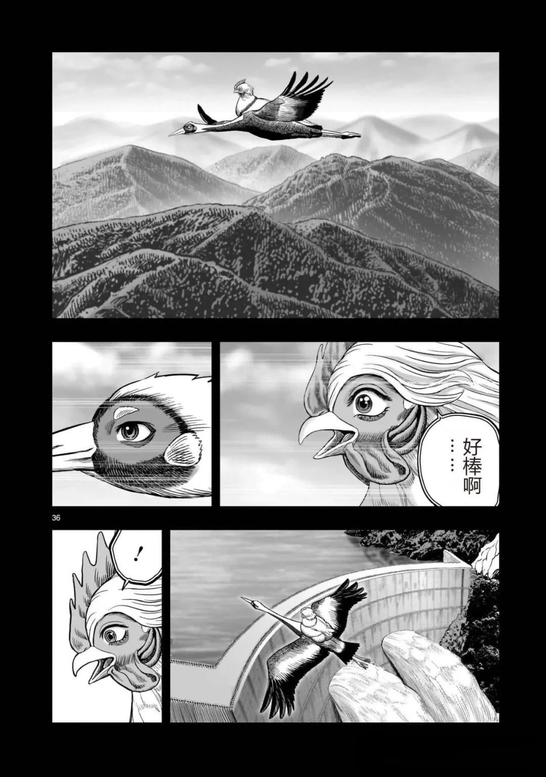 第36页