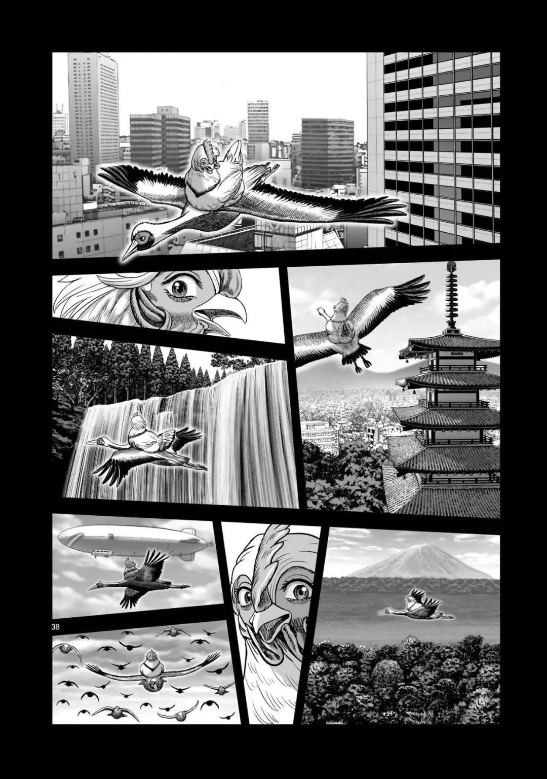 第38页