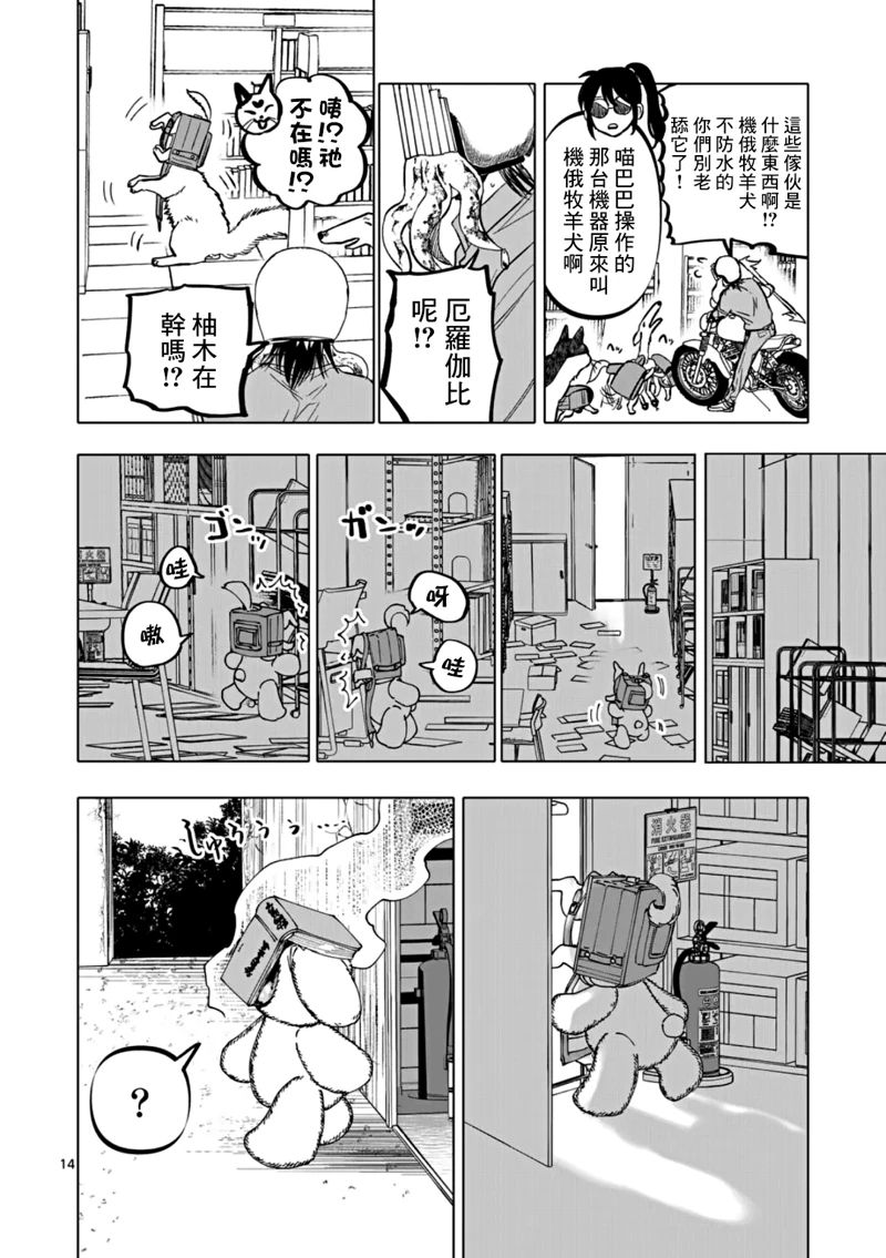 第14页